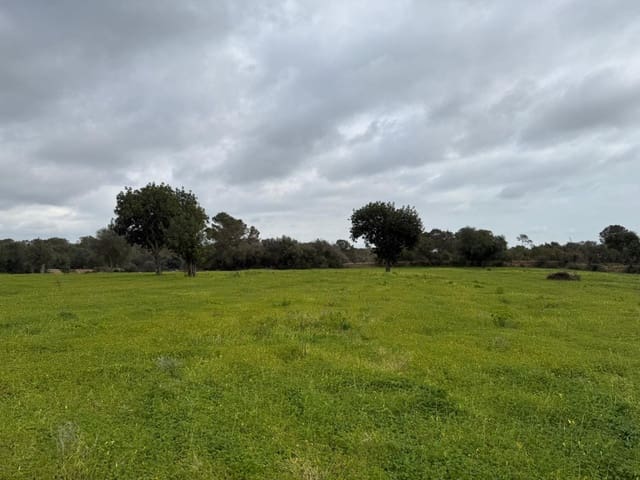Grunde uden byggetilladelser til salg i Llucmajor - € 268.000 (Ref: 9698957)