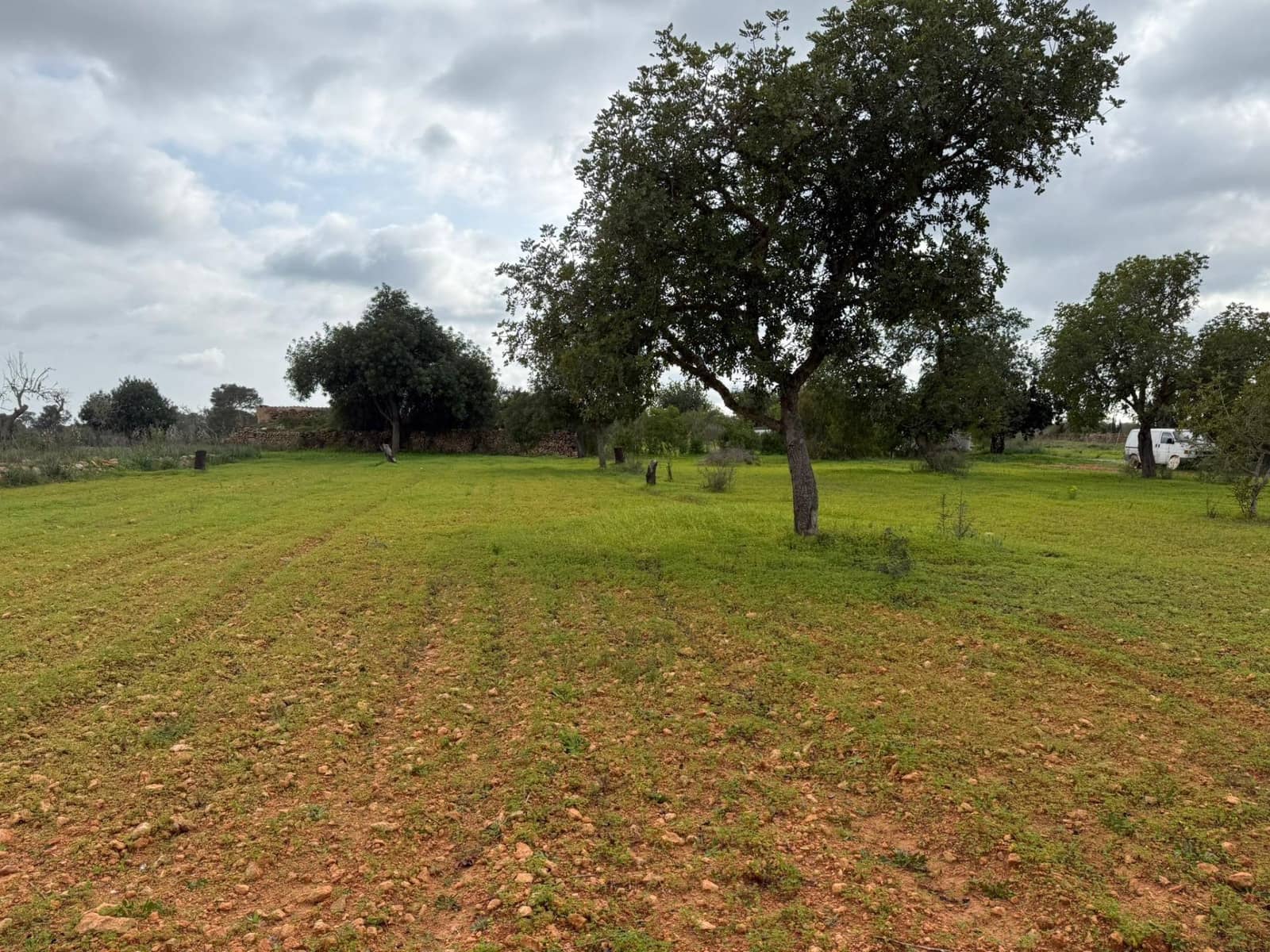 Grunde uden byggetilladelser til salg i Llucmajor - € 268.000 (Ref: 9698957)