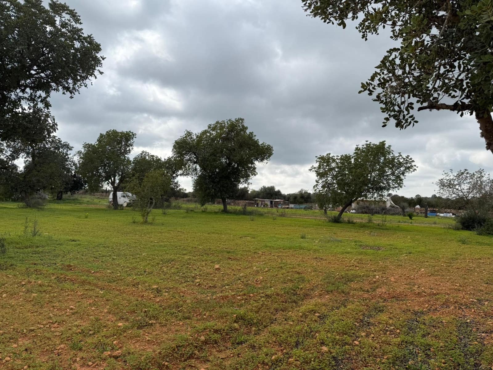 Grunde uden byggetilladelser til salg i Llucmajor - € 268.000 (Ref: 9698957)