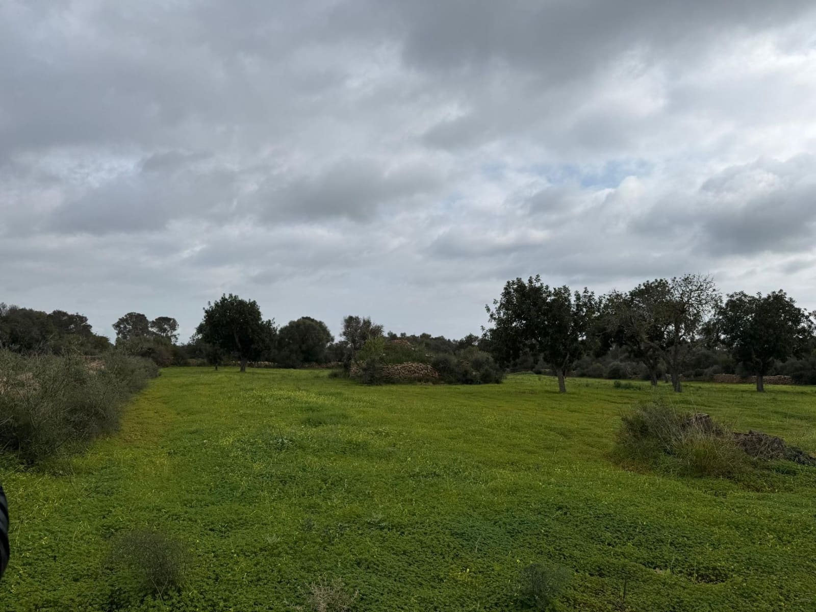 Grunde uden byggetilladelser til salg i Llucmajor - € 268.000 (Ref: 9698957)