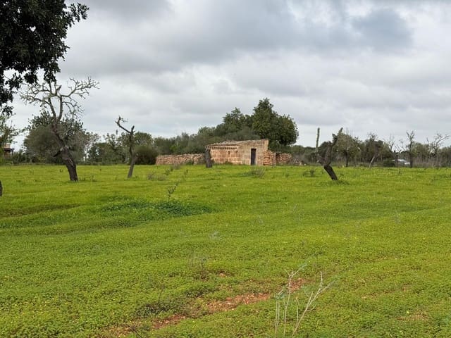 Grunde uden byggetilladelser til salg i Llucmajor - € 268.000 (Ref: 9698957)