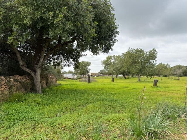 Grunde uden byggetilladelser til salg i Llucmajor - € 268.000 (Ref: 9698957)