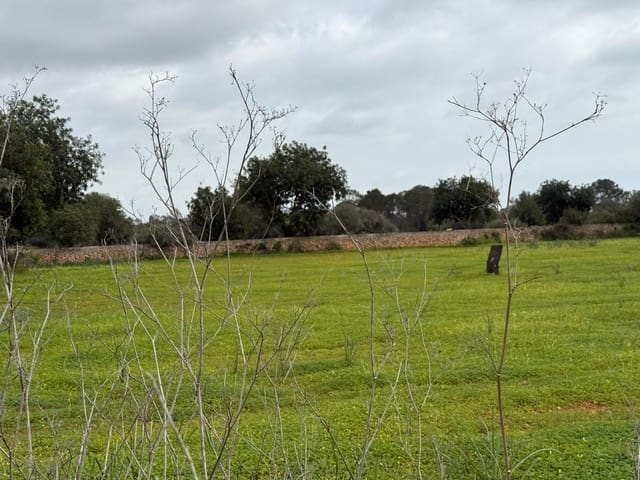 Grunde uden byggetilladelser til salg i Llucmajor - € 268.000 (Ref: 9698957)