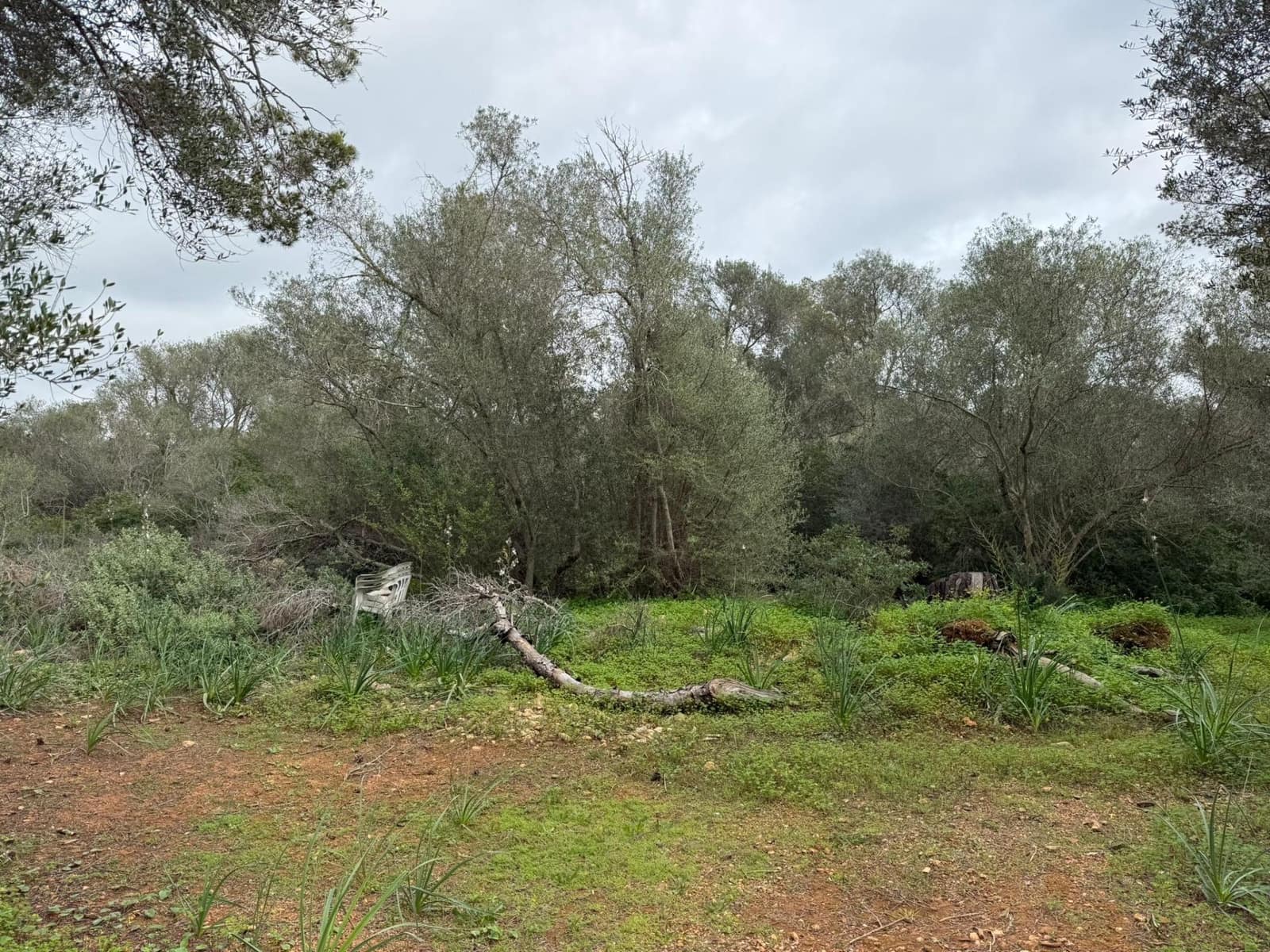 Grunde uden byggetilladelser til salg i Llucmajor - € 268.000 (Ref: 9698957)