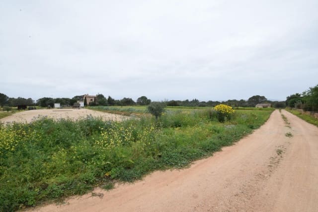 Bouwgrond te koop in Palma de Mallorca - € 689.000 (Ref: 9721907)