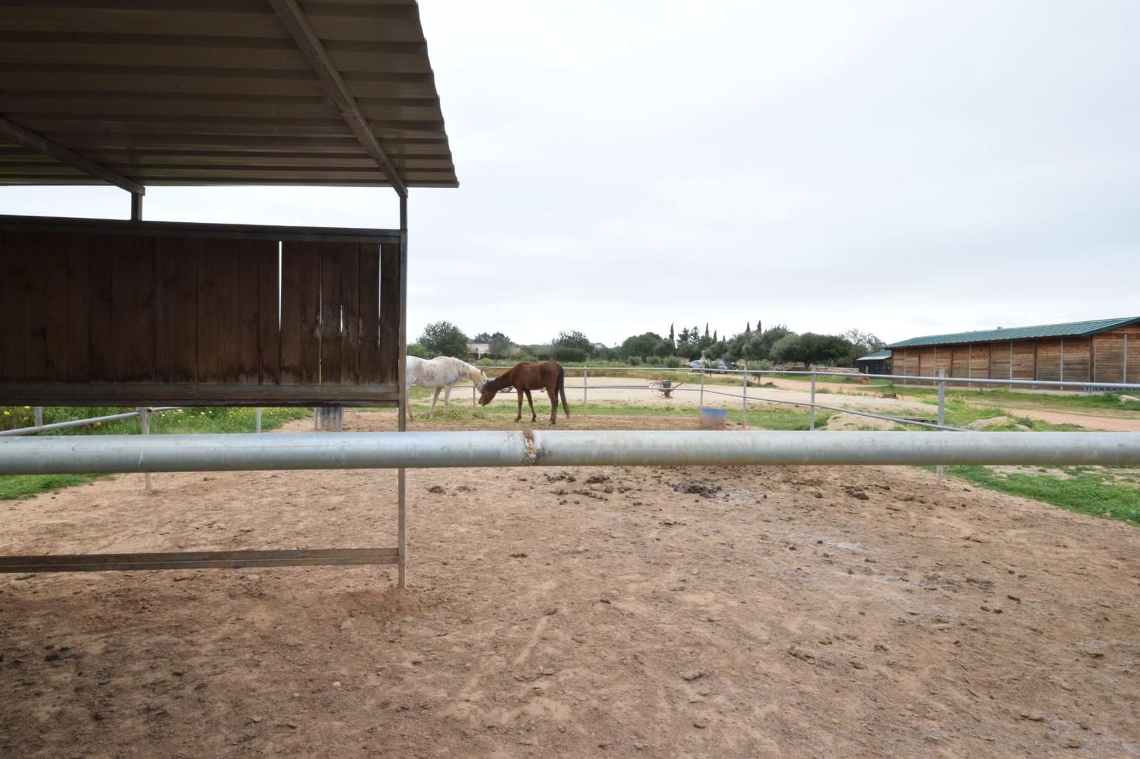 Bouwgrond te koop in Palma de Mallorca - € 689.000 (Ref: 9721907)