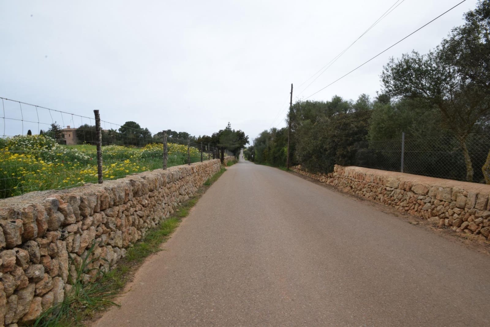 Bouwgrond te koop in Palma de Mallorca - € 689.000 (Ref: 9721907)