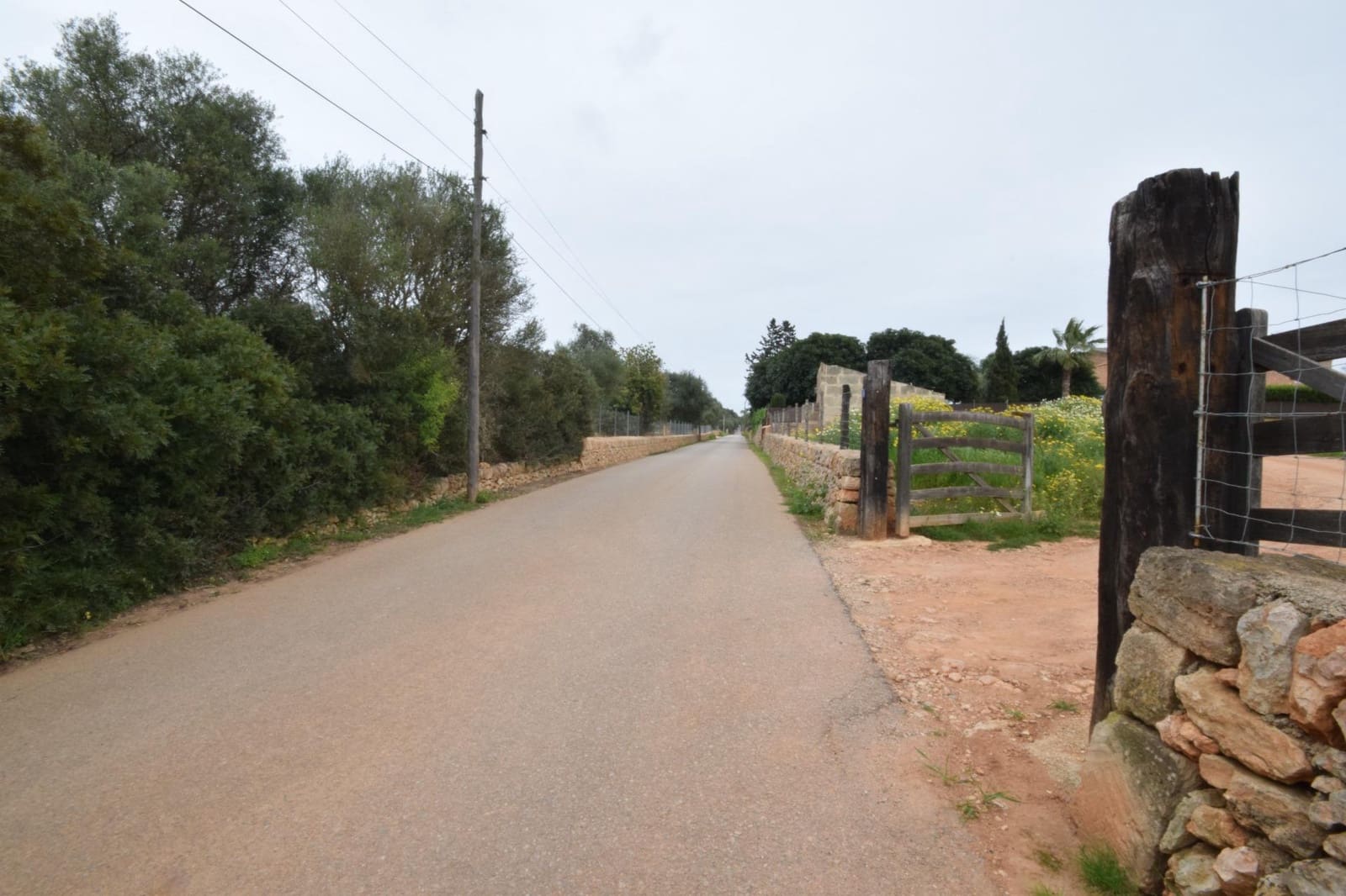 Bouwgrond te koop in Palma de Mallorca - € 689.000 (Ref: 9721907)