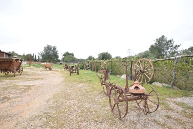 Bouwgrond te koop in Palma de Mallorca - € 689.000 (Ref: 9721907)