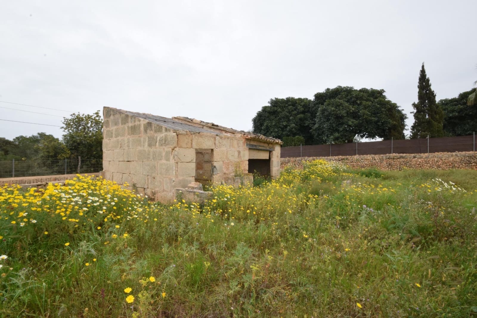 Bouwgrond te koop in Palma de Mallorca - € 689.000 (Ref: 9721907)