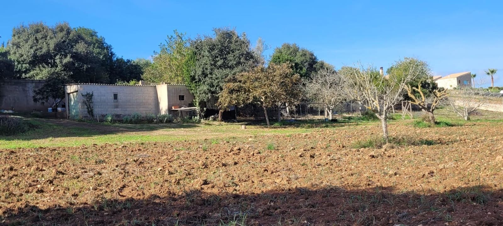 Area Edificabile in vendita in Manacor - 135.000 € (Rif: 9735808)