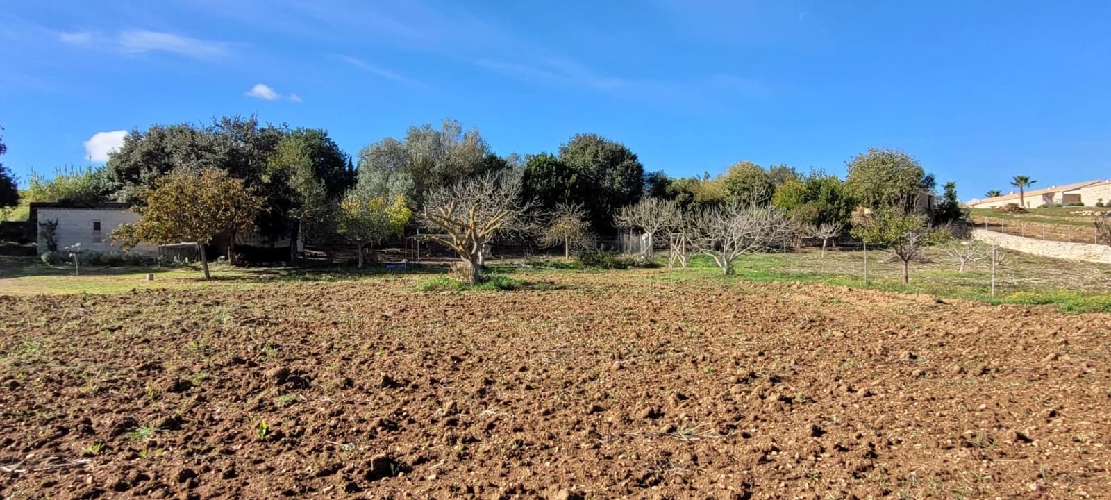Area Edificabile in vendita in Manacor - 135.000 € (Rif: 9735808)