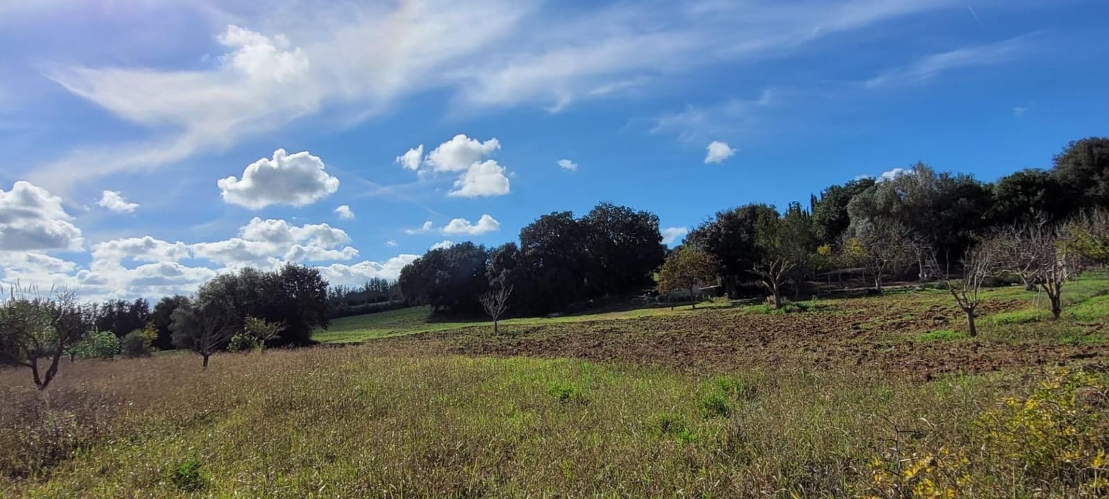 Area Edificabile in vendita in Manacor - 135.000 € (Rif: 9735808)