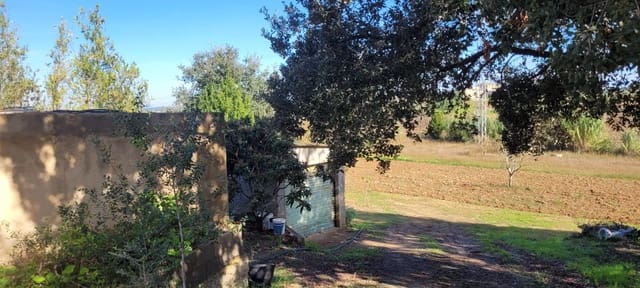 Area Edificabile in vendita in Manacor - 135.000 € (Rif: 9735808)