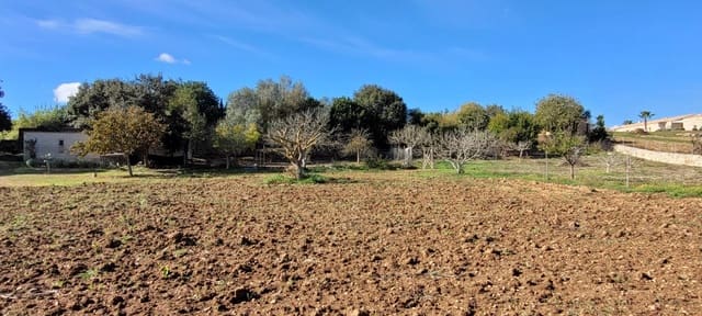 Area Edificabile in vendita in Manacor - 135.000 € (Rif: 9735808)