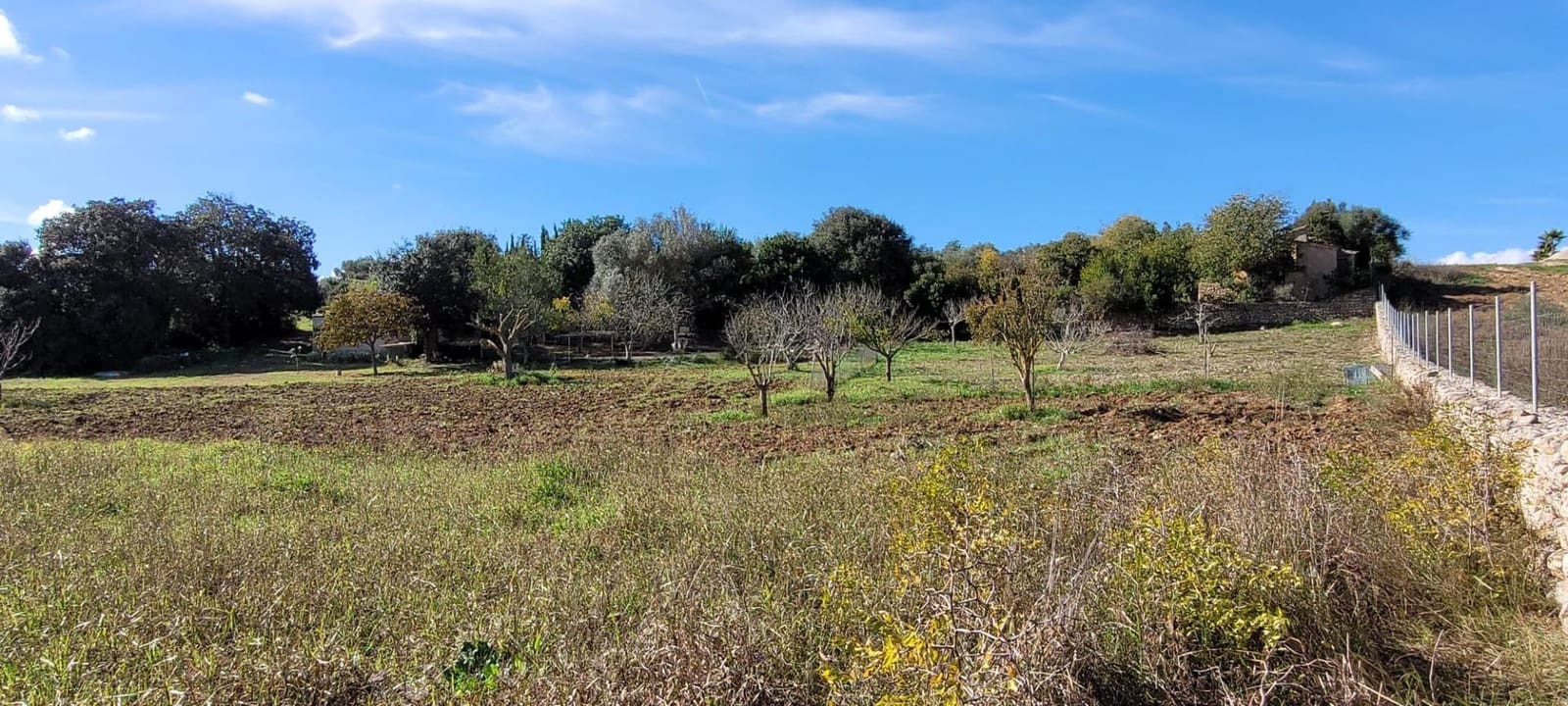 Area Edificabile in vendita in Manacor - 135.000 € (Rif: 9735808)