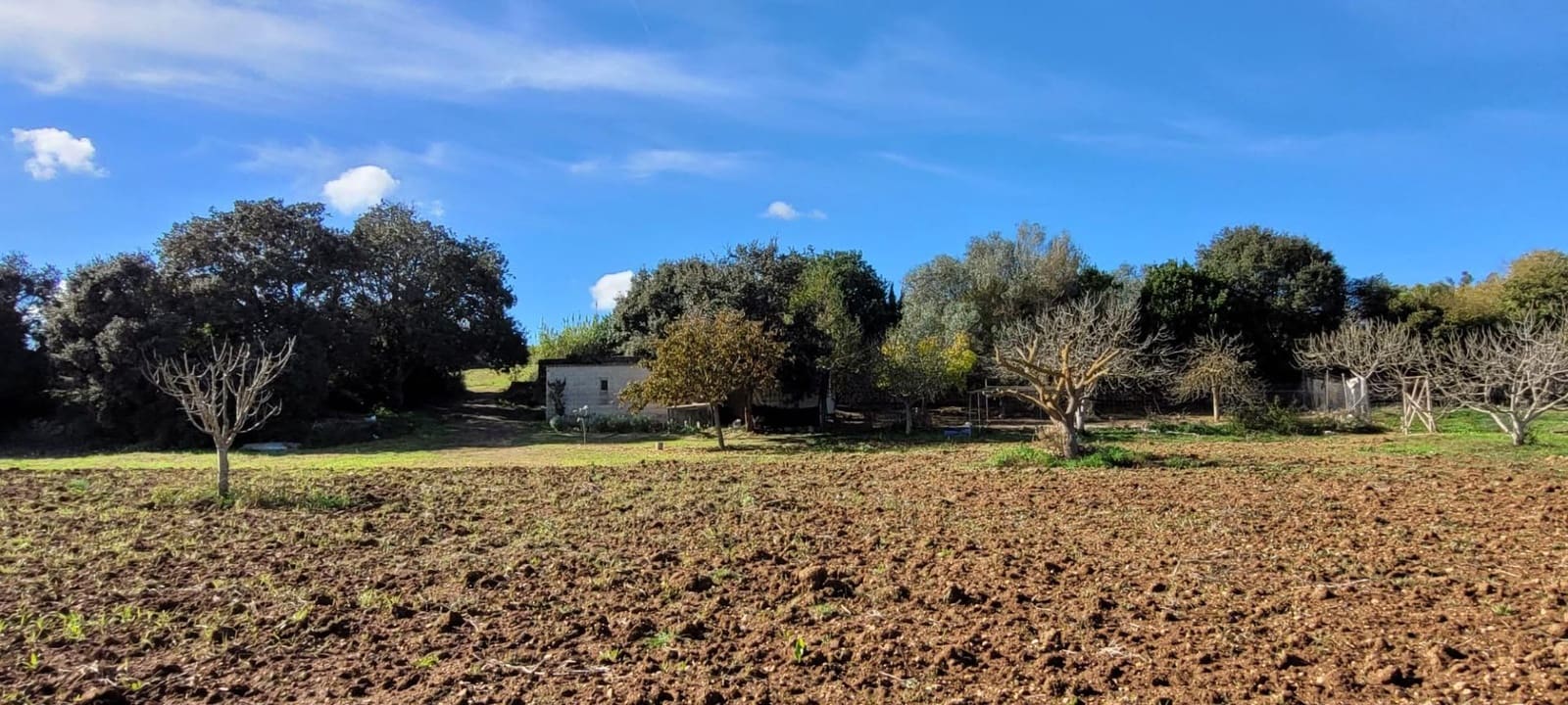 Area Edificabile in vendita in Manacor - 135.000 € (Rif: 9735808)