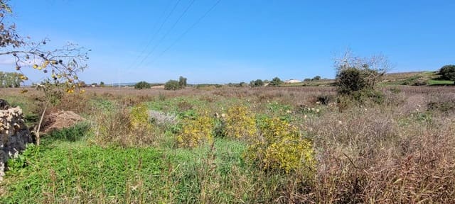 Area Edificabile in vendita in Manacor - 135.000 € (Rif: 9735808)