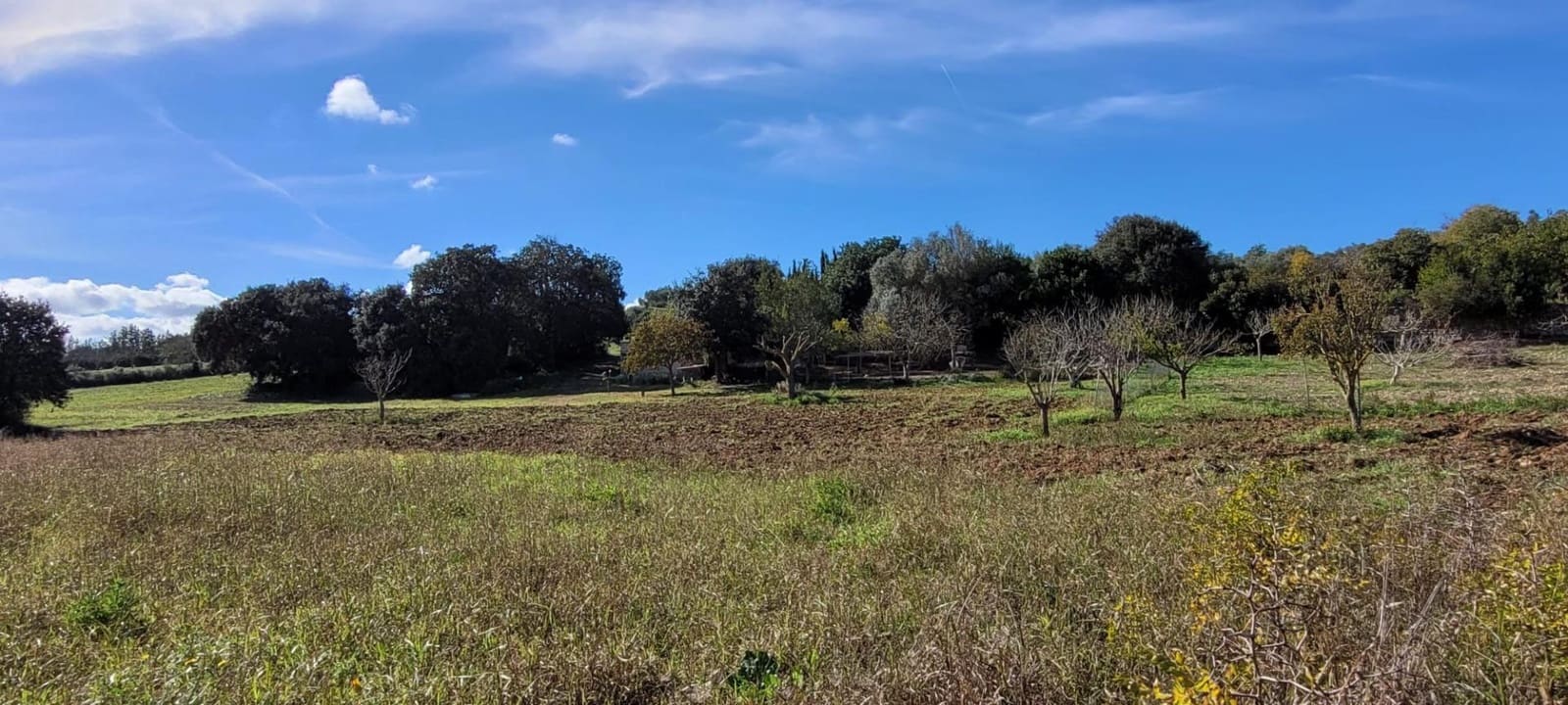 Area Edificabile in vendita in Manacor - 115.000 € (Rif: 9735808)