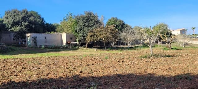 Bouwgrond te koop in Manacor - € 115.000 (Ref: 9735808)
