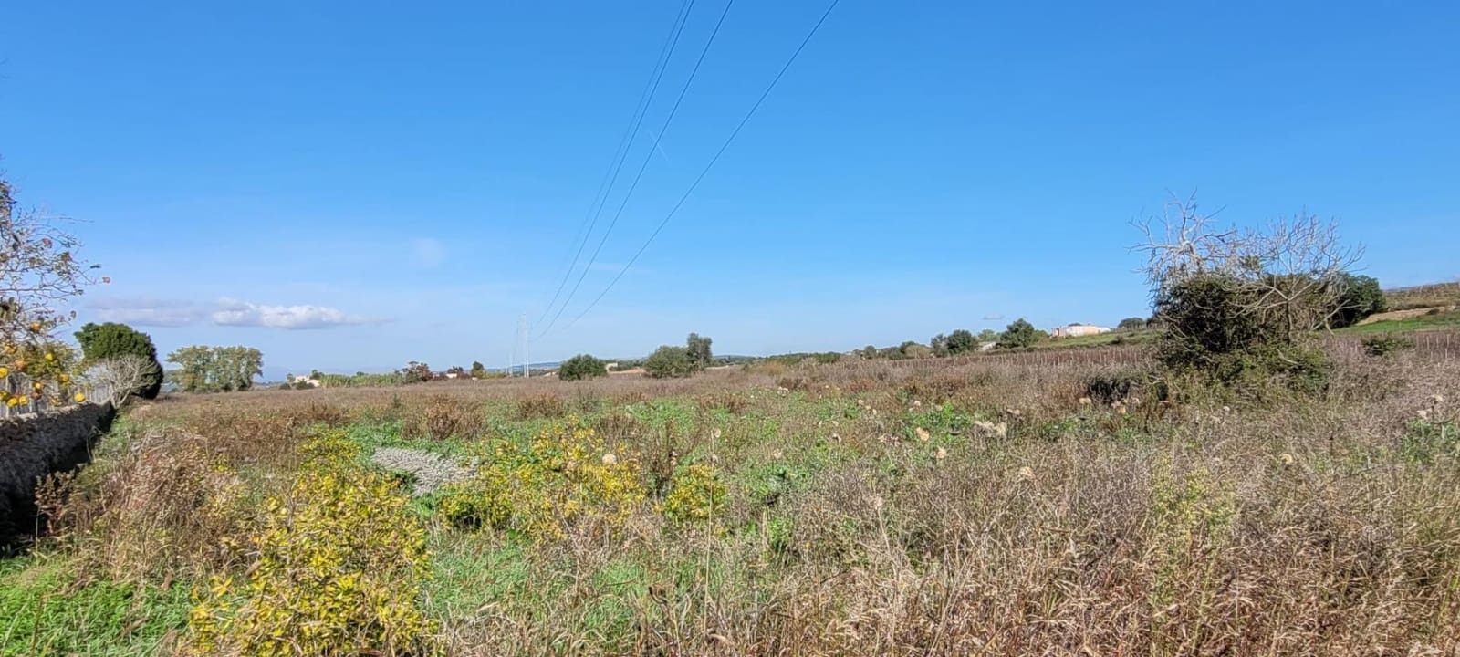 Area Edificabile in vendita in Manacor - 115.000 € (Rif: 9735808)
