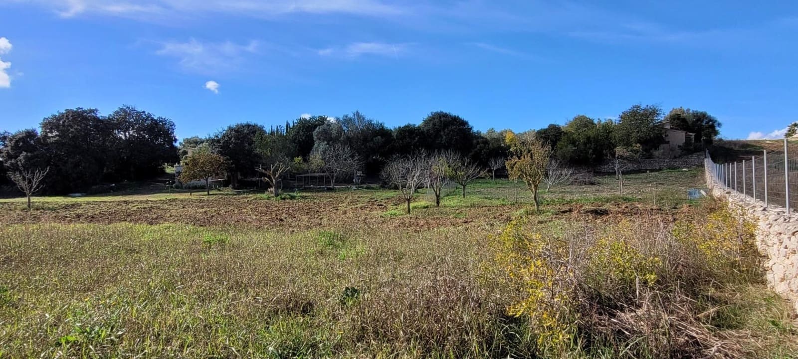 Area Edificabile in vendita in Manacor - 115.000 € (Rif: 9735808)