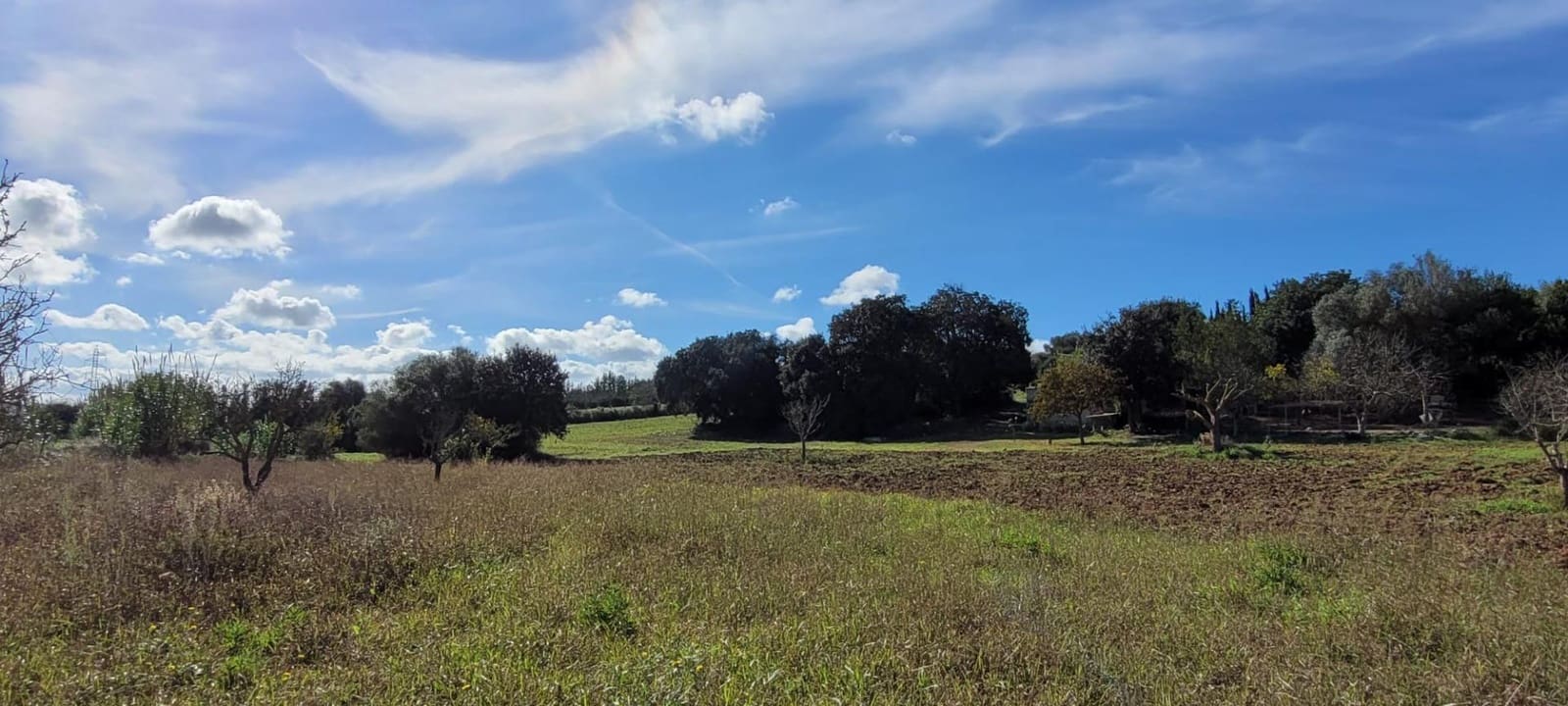 Area Edificabile in vendita in Manacor - 115.000 € (Rif: 9735808)