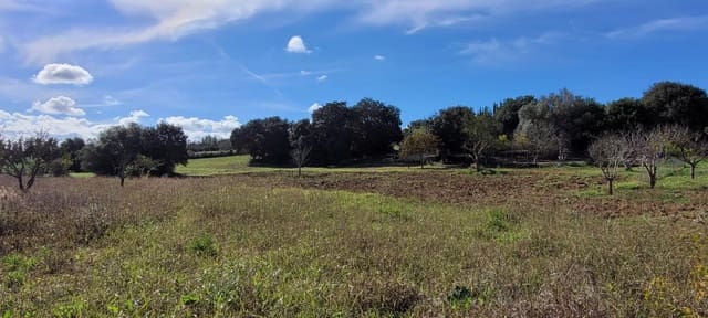 Bouwgrond te koop in Manacor - € 115.000 (Ref: 9735808)