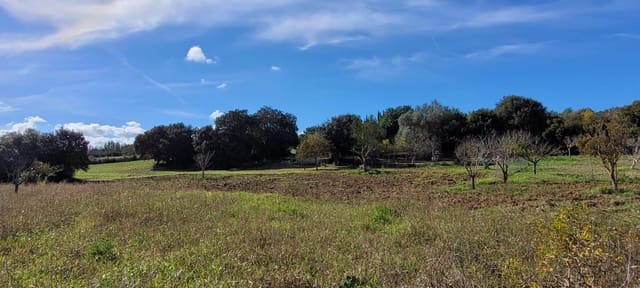 Bouwgrond te koop in Manacor - € 115.000 (Ref: 9735808)