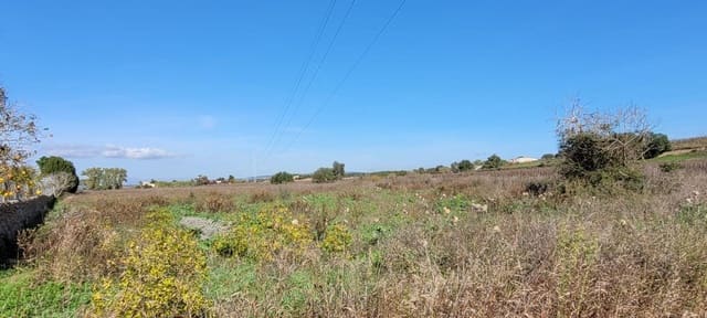 Bouwgrond te koop in Manacor - € 115.000 (Ref: 9735808)