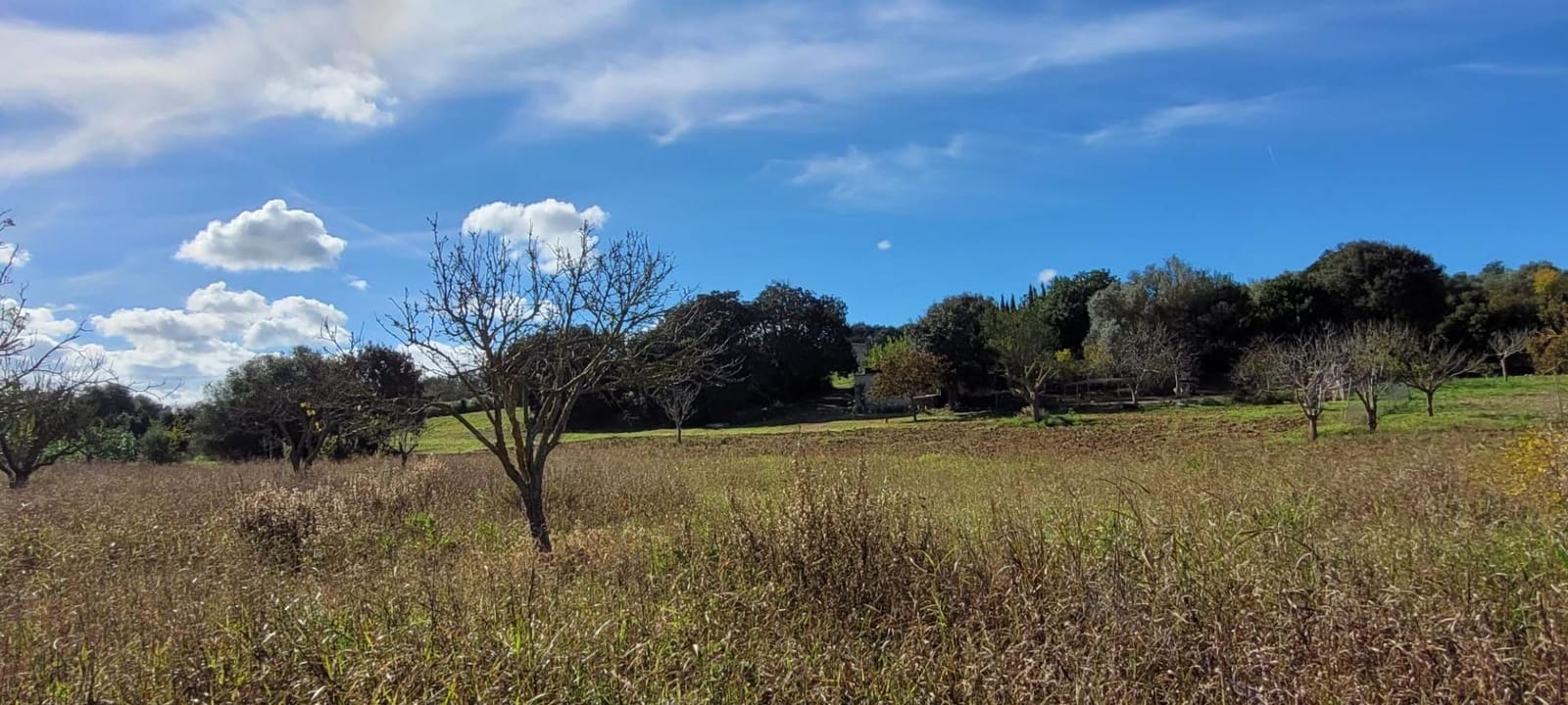 Area Edificabile in vendita in Manacor - 115.000 € (Rif: 9735808)