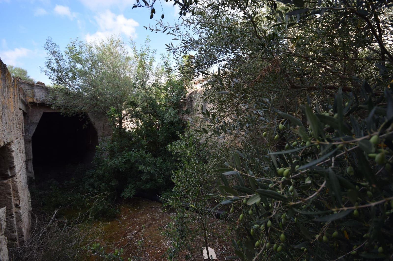 Solar/Parcela en Muro en venta - 215.000 € (Ref: 9735809)