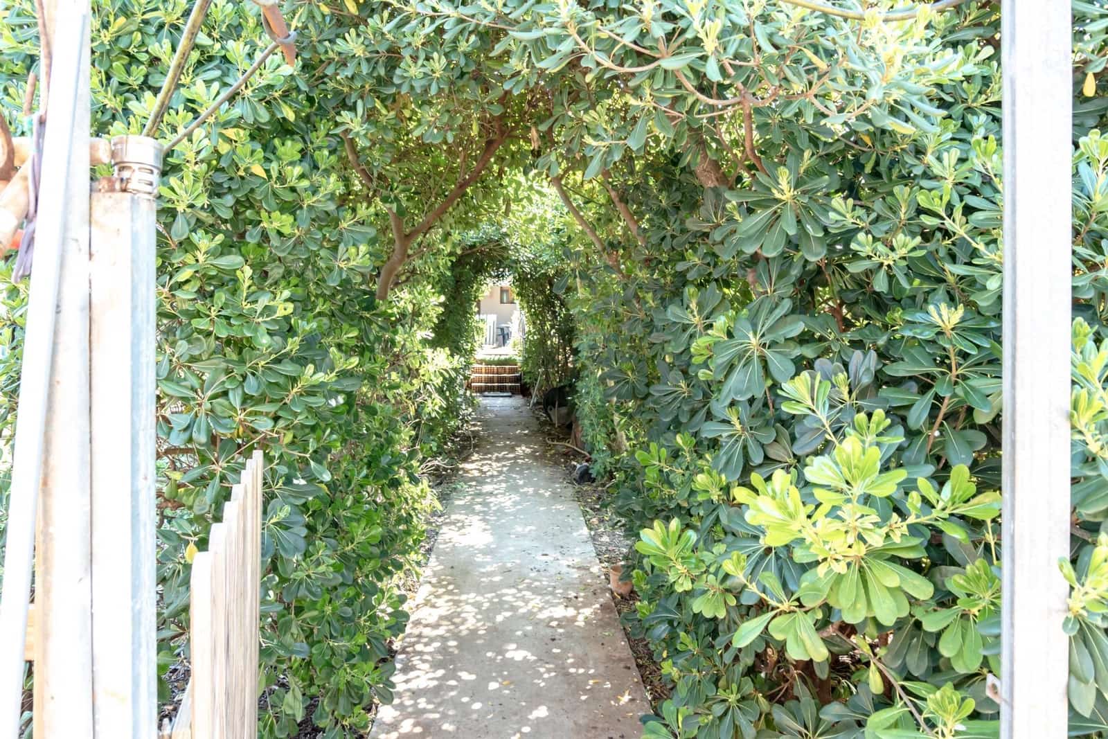 8 Zimmer Finca/Landgut zu verkaufen in Portocristo / Port de Manacor mit Pool Garage - 1.166.550 € (Ref: 9739031)