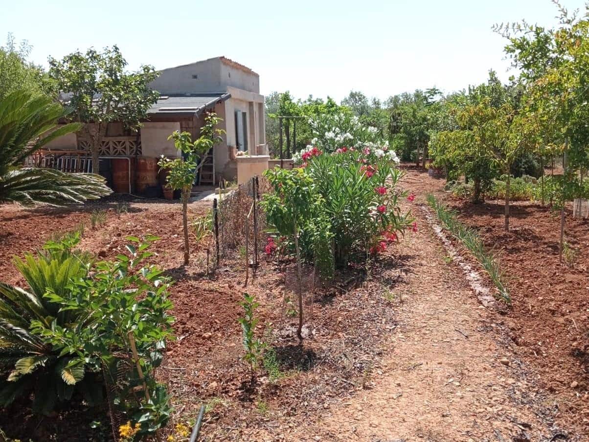 Finca/Landehus til salg i Porreres - € 169.900 (Ref: 9904188)