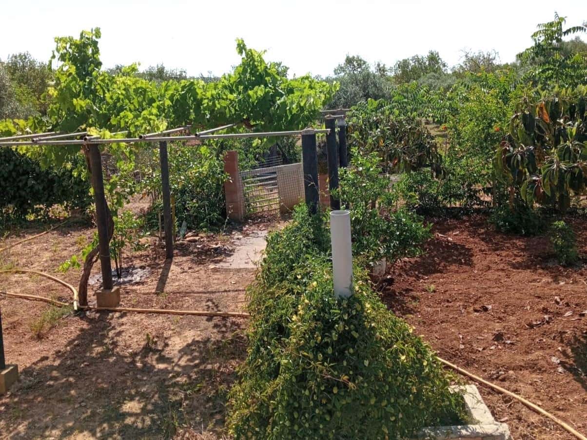 Finca/Landehus til salg i Porreres - € 169.900 (Ref: 9904188)