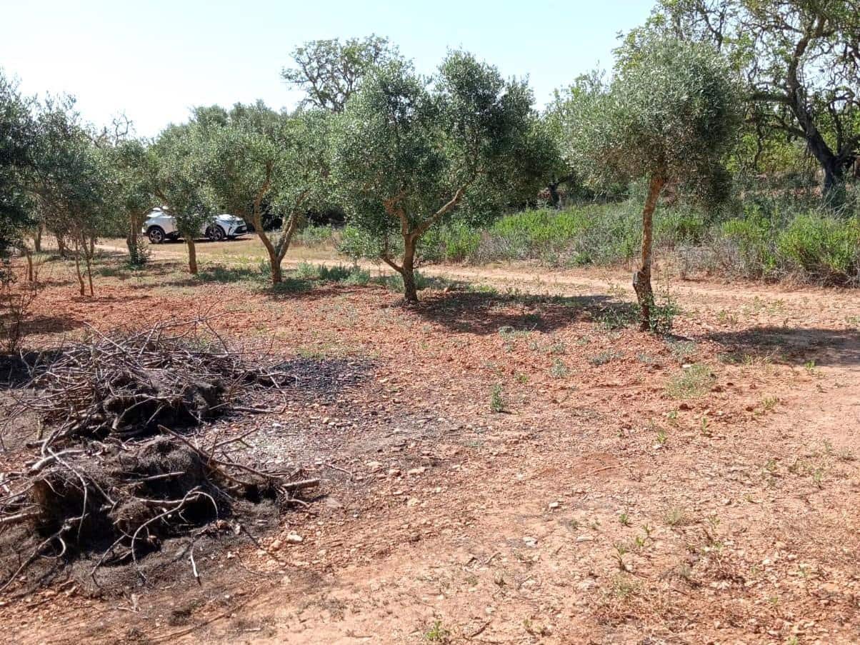 Finca/Landehus til salg i Porreres - € 169.900 (Ref: 9904188)