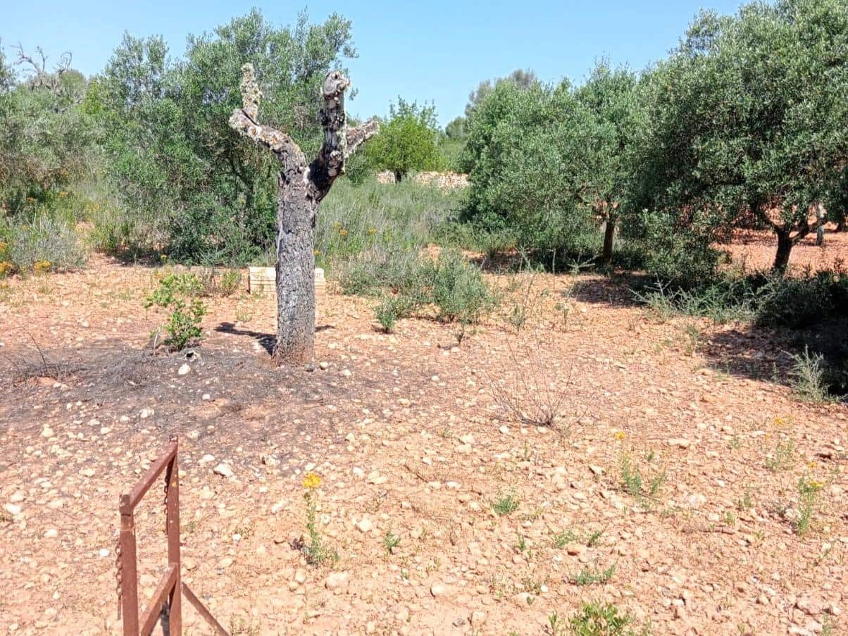 Finca/Landehus til salg i Porreres - € 169.900 (Ref: 9904188)