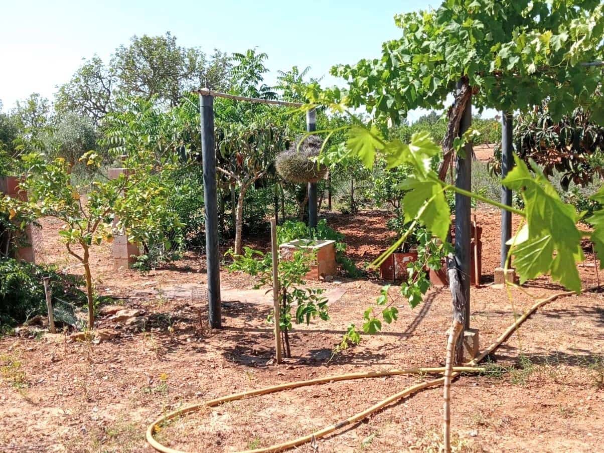 Finca/Landehus til salg i Porreres - € 169.900 (Ref: 9904188)
