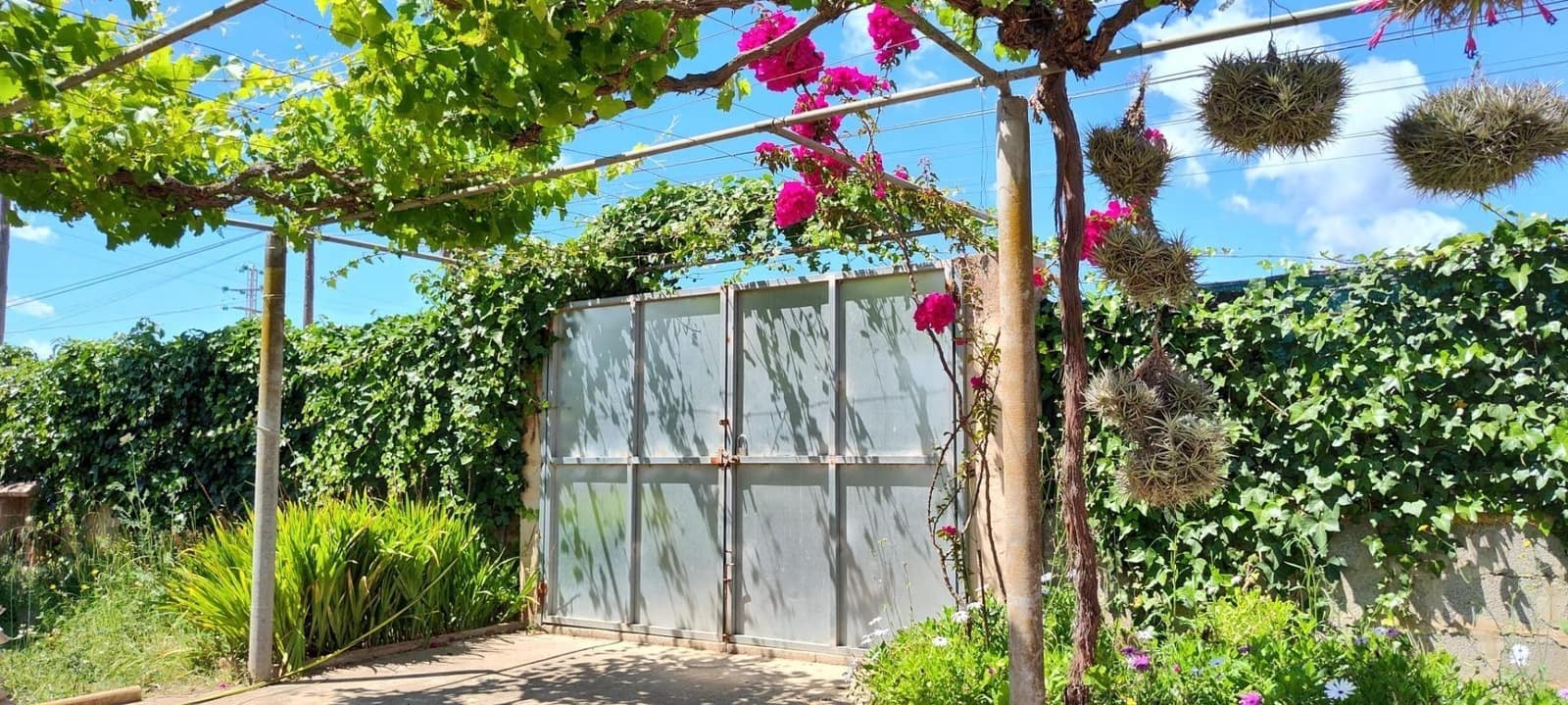 1 chambre Finca/Maison de Campagne à vendre à Palma de Mallorca - 280 000 € (Ref: 9940347)
