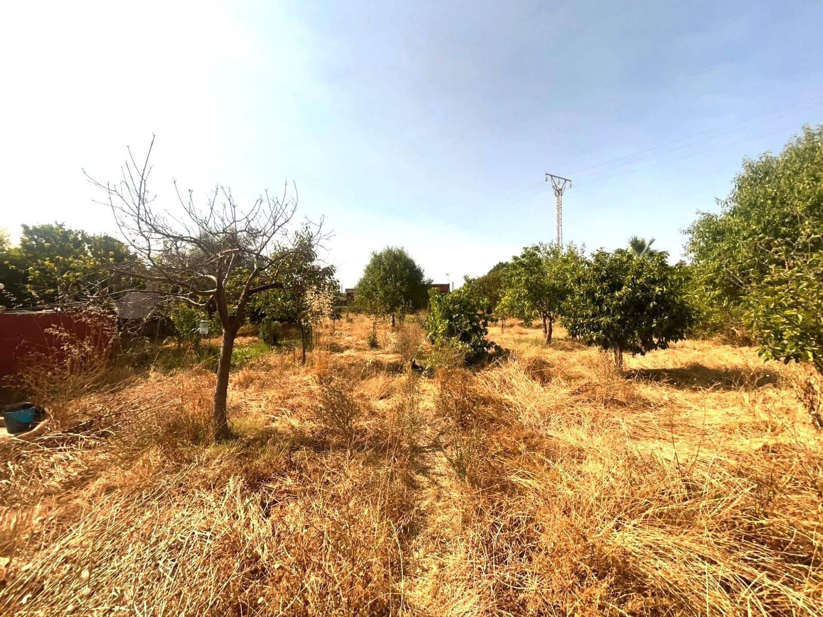 1 chambre Finca/Maison de Campagne à vendre à Palma de Mallorca - 280 000 € (Ref: 9940347)
