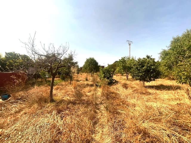 1 chambre Finca/Maison de Campagne à vendre à Palma de Mallorca - 280 000 € (Ref: 9940347)