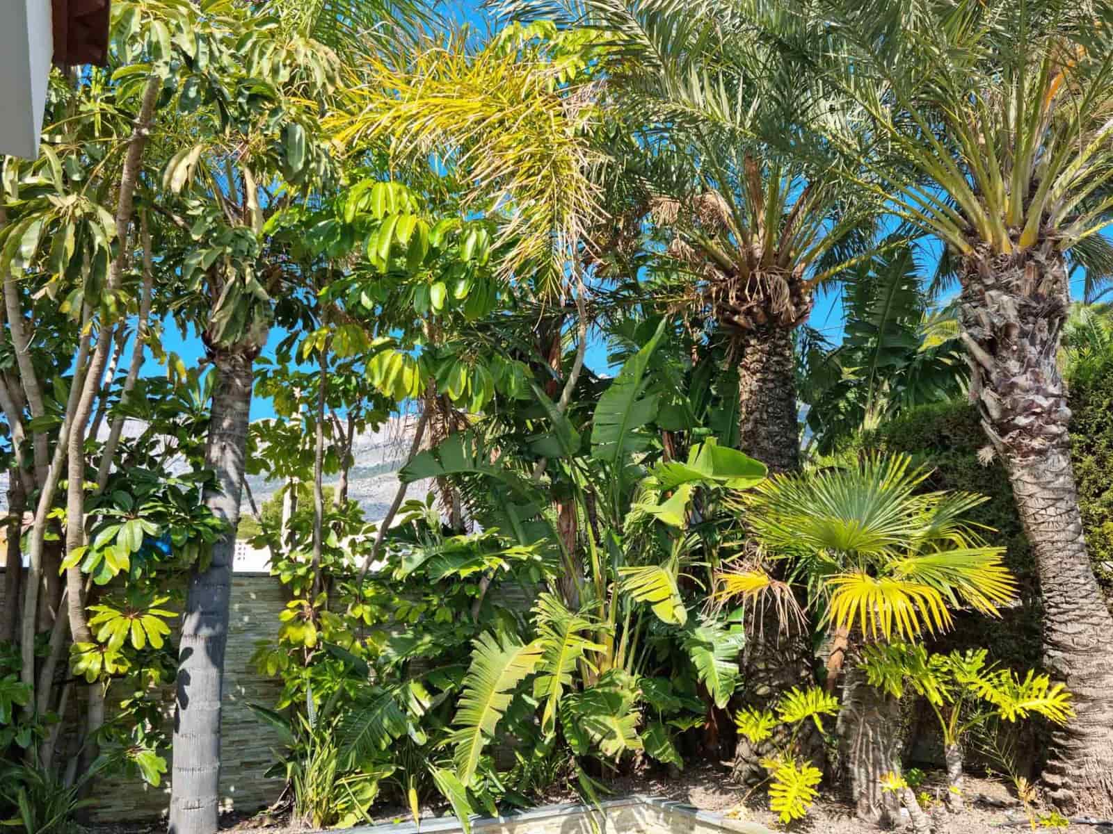 7 soveværelse Villa til salg i Altea med swimmingpool garage - € 1.990.000 (Ref: 8059543)