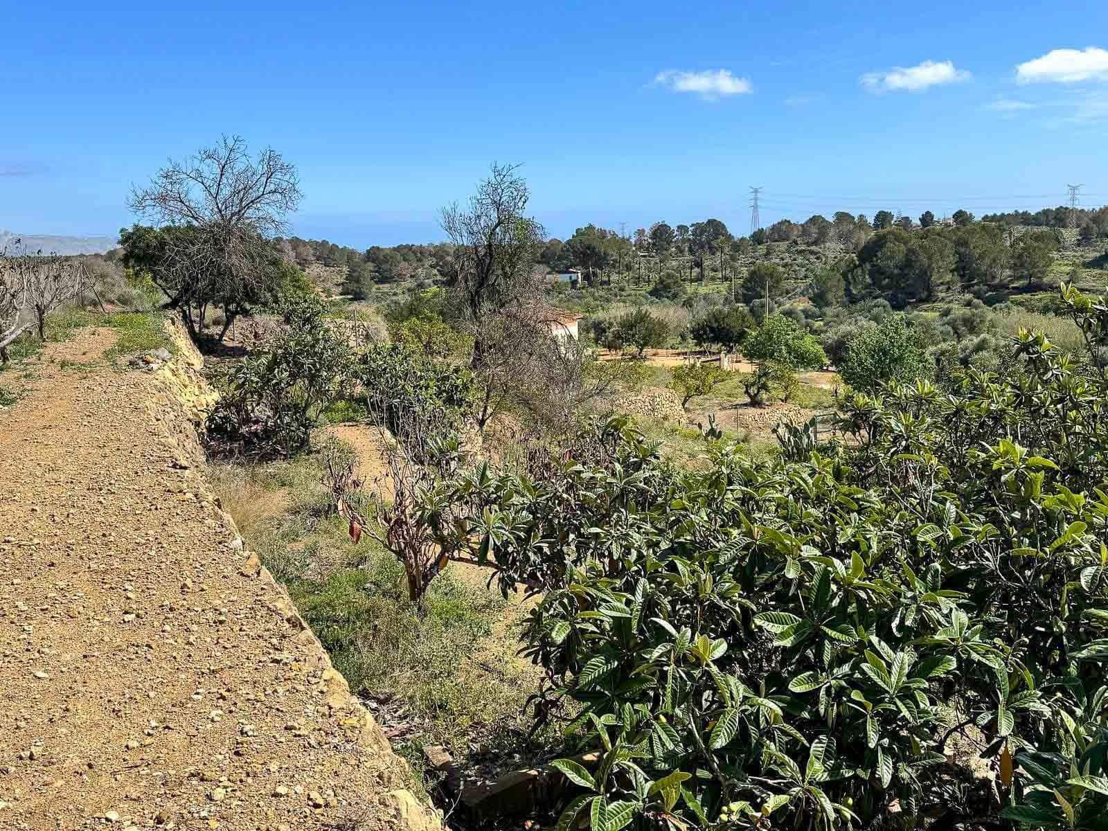 5 slaapkamer Finca/Landhuis te koop in La Nucia - € 650.000 (Ref: 8896964)