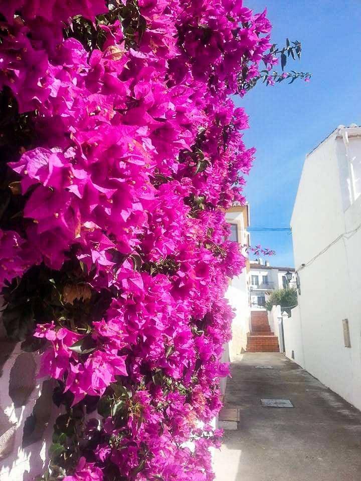 2 soverom Leilighet til salgs i Altea med svømmebasseng garasje - € 249 000 (Ref: 9217711)