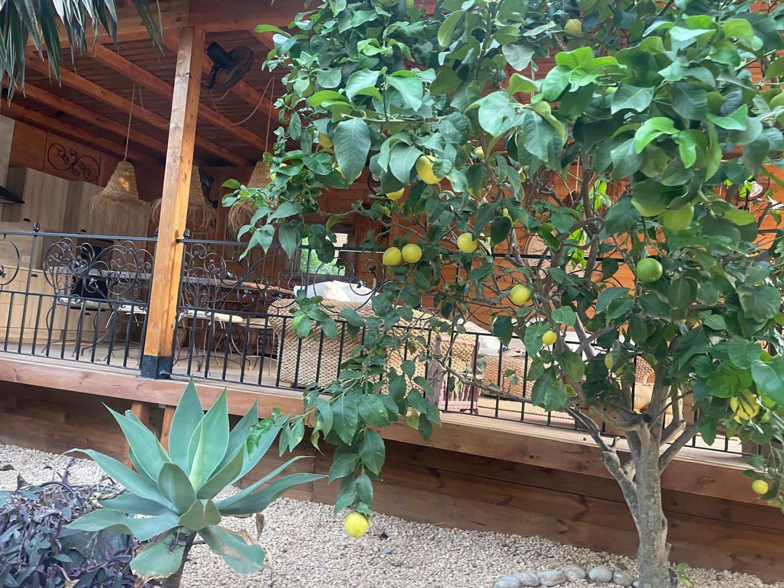 4 bedroom Villa for rent in Albir with pool - € 3,500 (Ref: 9942469)