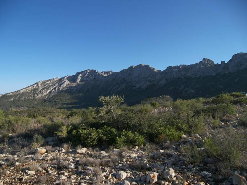 Grunde uden byggetilladelser til salg i Jalon / Xalo - € 200.000 (Ref: 2921714)