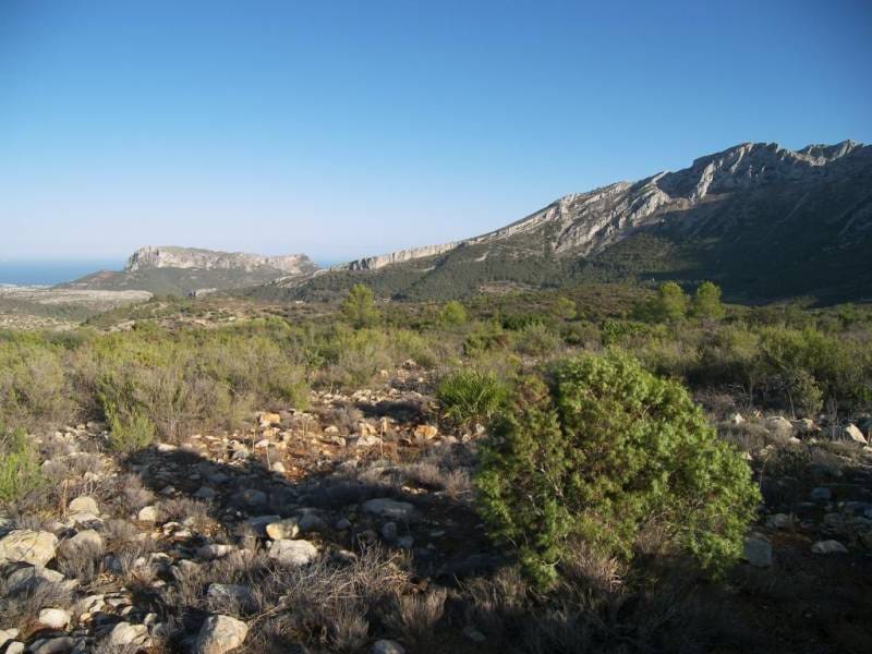 Grunde uden byggetilladelser til salg i Jalon / Xalo - € 200.000 (Ref: 2921714)