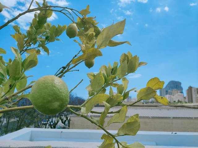 18 chambre Hôtel à vendre à Pueblo, Calpe / Calp - 1 700 000 € (Ref: 7667763)