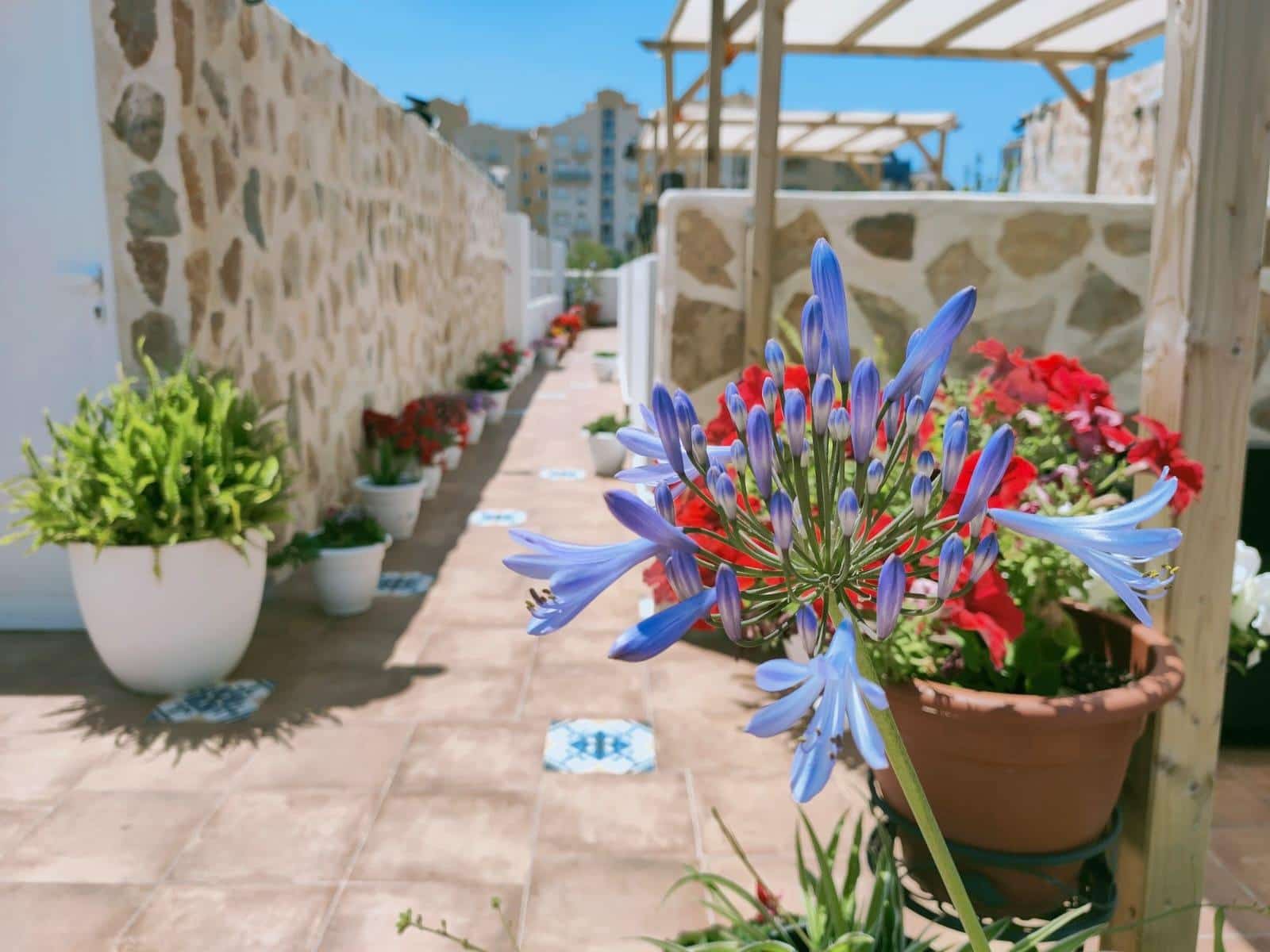 18 chambre Hôtel à vendre à Calpe / Calp - 1 700 000 € (Ref: 7667763)