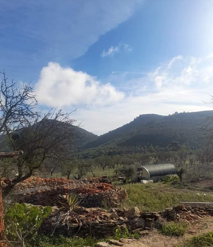 3 bedroom Finca/Country House for sale in Lliber - € 199,000 (Ref: 8689115)